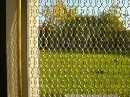 Window Guard Grille